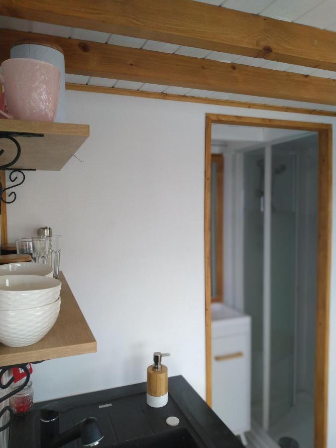 Villa Tiny House Cluj With Jacuzzi à Sinnicoara Extérieur photo