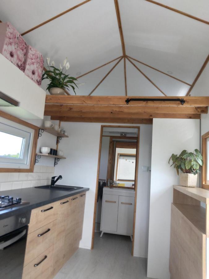 Villa Tiny House Cluj With Jacuzzi à Sinnicoara Extérieur photo