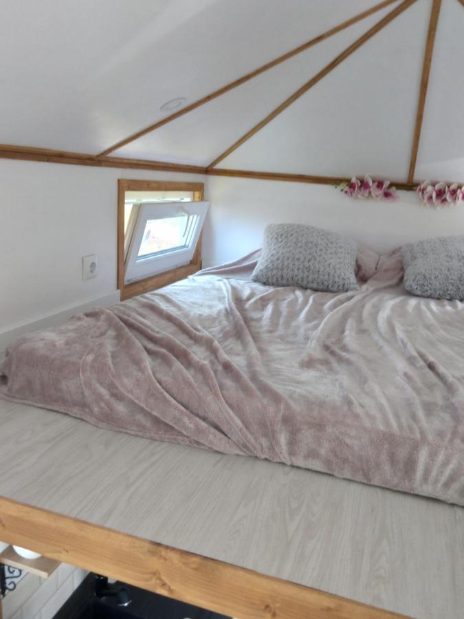 Villa Tiny House Cluj With Jacuzzi à Sinnicoara Extérieur photo
