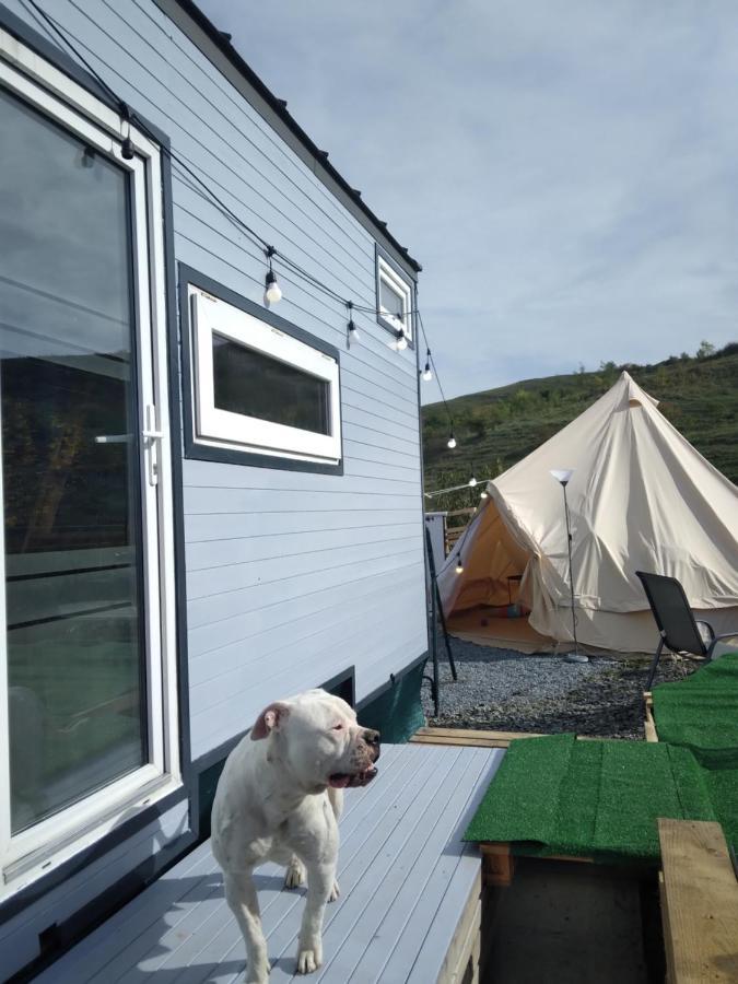 Villa Tiny House Cluj With Jacuzzi à Sinnicoara Extérieur photo